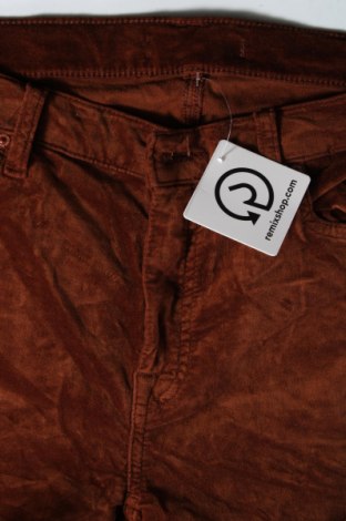 Damenhose, Größe L, Farbe Braun, Preis € 8,49