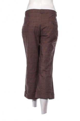 Damenhose Colours Of The World, Größe L, Farbe Braun, Preis € 8,99