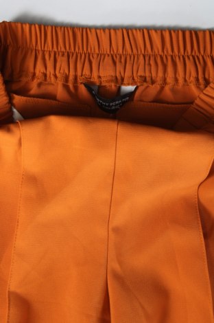 Damenhose Dorothy Perkins, Größe S, Farbe Orange, Preis € 9,99