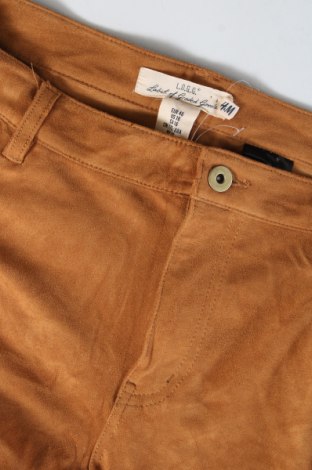 Damenhose H&M, Größe XL, Farbe Orange, Preis € 7,49