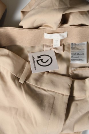 Damenhose H&M, Größe XL, Farbe Beige, Preis € 20,49