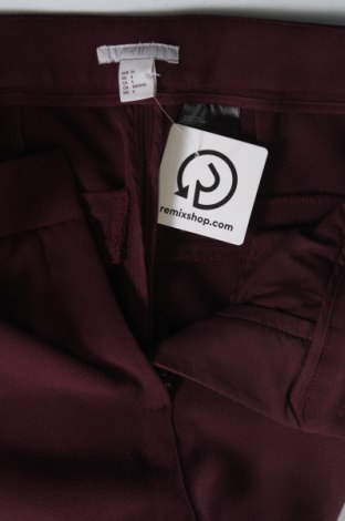 Damenhose H&M, Größe XS, Farbe Lila, Preis 10,99 €