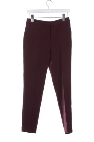 Damenhose H&M, Größe XS, Farbe Lila, Preis 10,99 €