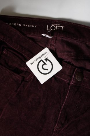 Damenhose Loft, Größe M, Farbe Rot, Preis 15,49 €