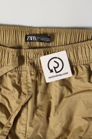 Damenhose Zara, Größe S, Farbe Grün, Preis 16,49 €