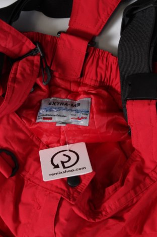 Damenhose für Wintersport, Größe L, Farbe Rot, Preis 34,49 €