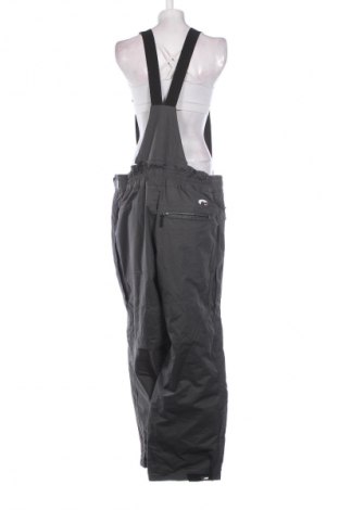 Pantaloni de damă pentru sporturi de iarnă Snowgear by TCM, Mărime XL, Culoare Gri, Preț 319,99 Lei