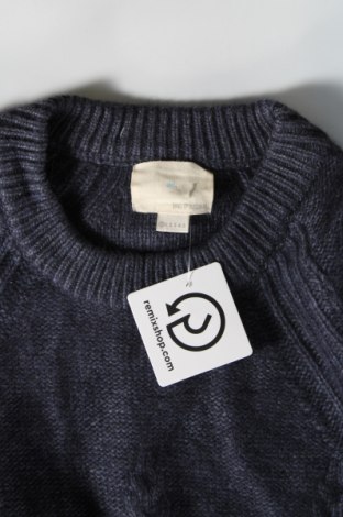 Damenpullover Band of Outsiders, Größe XS, Farbe Blau, Preis € 43,49