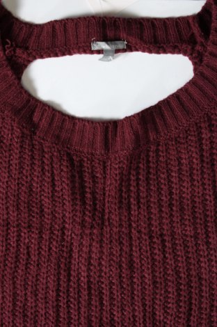 Damenpullover Charlotte Russe, Größe S, Farbe Rot, Preis 20,49 €