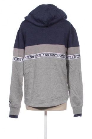 Damen Sweatshirt Colloseum, Größe L, Farbe Mehrfarbig, Preis € 10,49