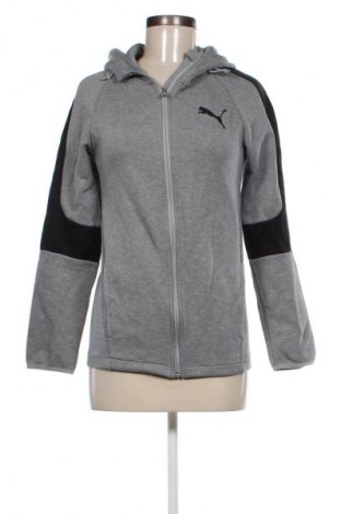 Damen Sweatshirt PUMA, Größe XS, Farbe Grau, Preis 32,49 €