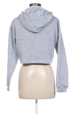 Damen Sweatshirt SHEIN, Größe L, Farbe Grau, Preis € 9,49