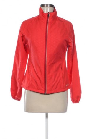 Damen Sportoberteil Sports, Größe XS, Farbe Rot, Preis € 27,49