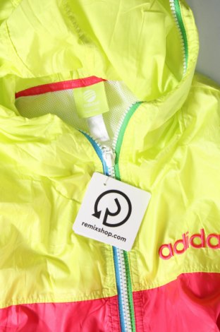 Dámska bunda  Adidas Neo, Veľkosť L, Farba Viacfarebná, Cena  35,45 €