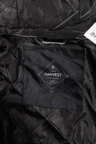 Damenjacke Harvest, Größe XL, Farbe Schwarz, Preis 31,99 €