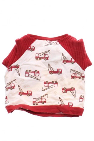 Kinder Shirt, Größe 3-6m/ 62-68 cm, Farbe Mehrfarbig, Preis € 3,49