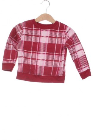 Kinder Shirt Garanimals, Größe 12-18m/ 80-86 cm, Farbe Mehrfarbig, Preis 3,49 €