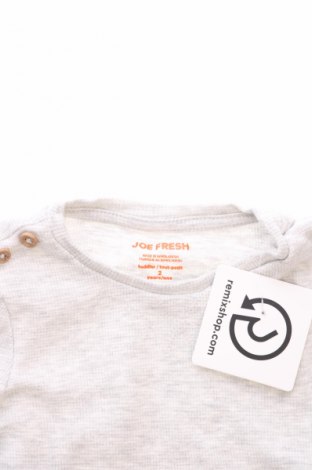 Kinder Shirt Joe Fresh, Größe 18-24m/ 86-98 cm, Farbe Grau, Preis 3,99 €