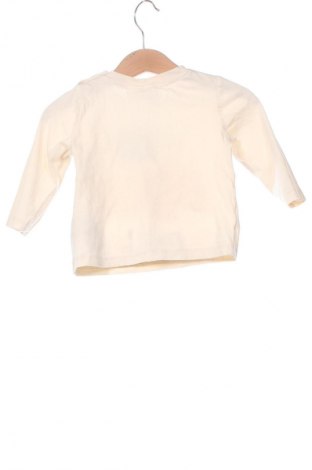 Kinder Shirt LCW, Größe 3-6m/ 62-68 cm, Farbe Ecru, Preis € 10,55