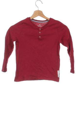 Kinder Shirt Lupilu, Größe 4-5y/ 110-116 cm, Farbe Rot, Preis 3,99 €