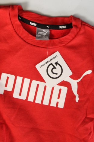 Kinder Shirt PUMA, Größe 7-8y/ 128-134 cm, Farbe Rot, Preis 24,99 €