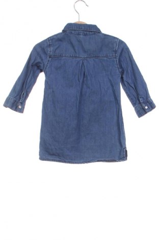 Kinder Shirt Zeeman, Größe 9-12m/ 74-80 cm, Farbe Blau, Preis € 3,99