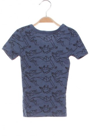 Dziecięcy T-shirt Zeeman, Rozmiar 2-3y/ 98-104 cm, Kolor Niebieski, Cena 19,99 zł