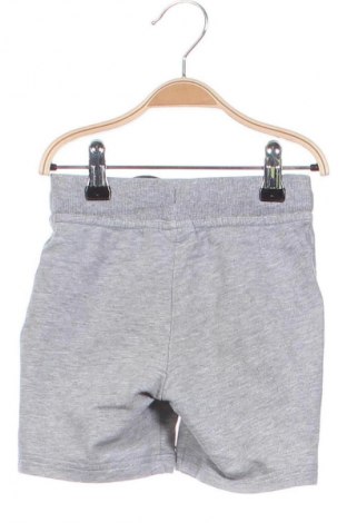 Kinder Shorts Lupilu, Größe 2-3y/ 98-104 cm, Farbe Grau, Preis € 7,16