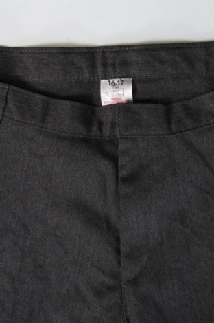 Pantaloni pentru copii George, Mărime 15-18y/ 170-176 cm, Culoare Gri, Preț 28,99 Lei