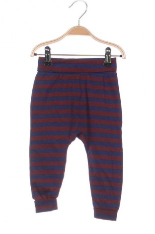 Pantaloni pentru copii Harry Potter, Mărime 9-12m/ 74-80 cm, Culoare Multicolor, Preț 30,94 Lei