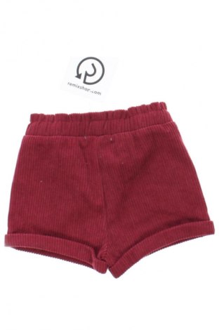 Pantaloni pentru copii Obaibi, Mărime 2-3m/ 56-62 cm, Culoare Maro, Preț 43,99 Lei