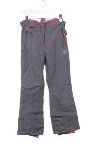 Pantaloni pentru copii pentru sporturi de iarnă Alive, Mărime 8-9y/ 134-140 cm, Culoare Gri, Preț 86,99 Lei