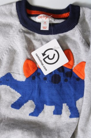 Dziecięcy sweter Cat & Jack, Rozmiar 3-4y/ 104-110 cm, Kolor Szary, Cena 54,99 zł