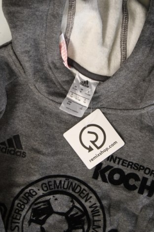 Kinder Sweatshirts Adidas, Größe 11-12y/ 152-158 cm, Farbe Grau, Preis € 28,99