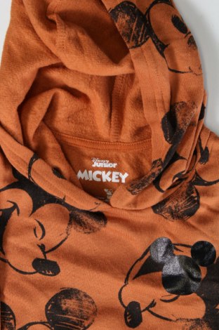 Gyerek sweatshirt Disney, Méret 2-3y / 98-104 cm, Szín Barna, Ár 4 199 Ft