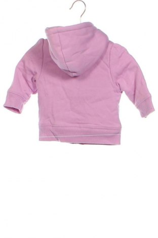 Kinder Sweatshirts Healthtex, Größe 3-6m/ 62-68 cm, Farbe Lila, Preis € 14,99