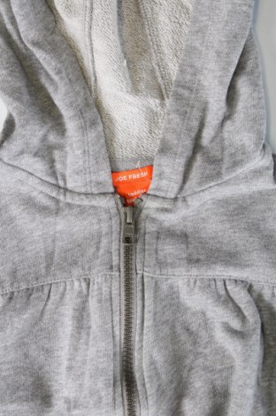 Kinder Sweatshirts Joe Fresh, Größe 4-5y/ 110-116 cm, Farbe Grau, Preis € 15,99