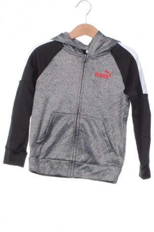 Kinder Sweatshirts PUMA, Größe 4-5y/ 110-116 cm, Farbe Mehrfarbig, Preis € 28,99