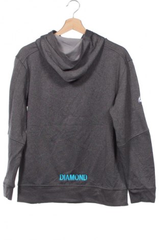 Kinder Sweatshirts The Authentic, Größe 14-15y/ 168-170 cm, Farbe Grau, Preis € 8,99