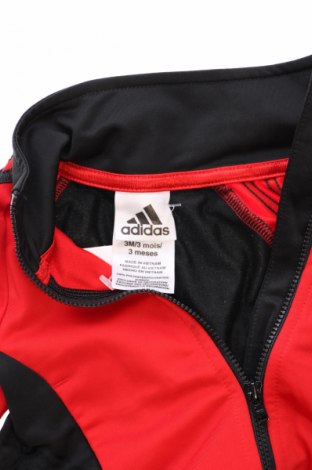 Detská športová horná časť  Adidas, Veľkosť 2-3m/ 56-62 cm, Farba Viacfarebná, Cena  19,95 €