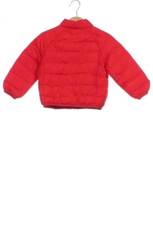 Kinderjacke Wonder Nation, Größe 12-18m/ 80-86 cm, Farbe Rot, Preis 13,49 €