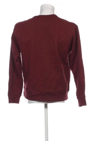 Herren Shirt Champion, Größe M, Farbe Braun, Preis 10,99 €