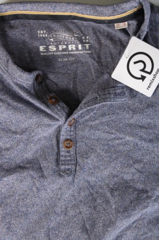 Herren Shirt Esprit, Größe M, Farbe Mehrfarbig, Preis € 8,99