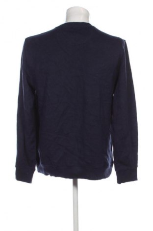 Herren Shirt Izod, Größe M, Farbe Blau, Preis € 10,99