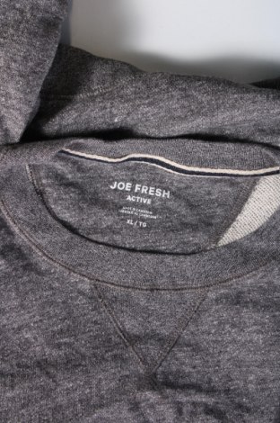 Ανδρική μπλούζα Joe Fresh, Μέγεθος XL, Χρώμα Γκρί, Τιμή 11,99 €