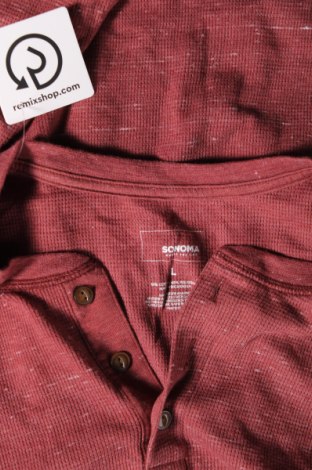 Herren Shirt Sonoma, Größe L, Farbe Rot, Preis € 6,99