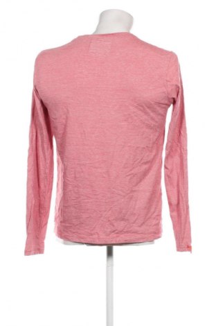 Herren Shirt Superdry, Größe L, Farbe Mehrfarbig, Preis 21,99 €