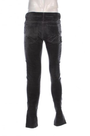 Herren Cordhose Diesel, Größe M, Farbe Grau, Preis 66,99 €