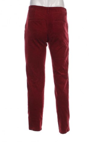 Herren Cordhose Mauro Ferrini, Größe M, Farbe Rot, Preis € 11,49