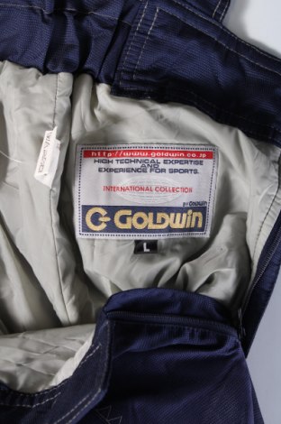 Ανδρικό παντελόνι για χειμερινά σπορ Goldwin, Μέγεθος L, Χρώμα Μπλέ, Τιμή 11,99 €